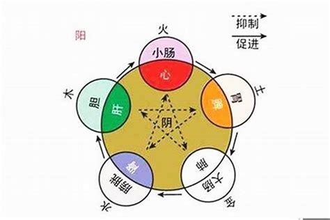 思字五行|思字的五行属性